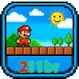 211br